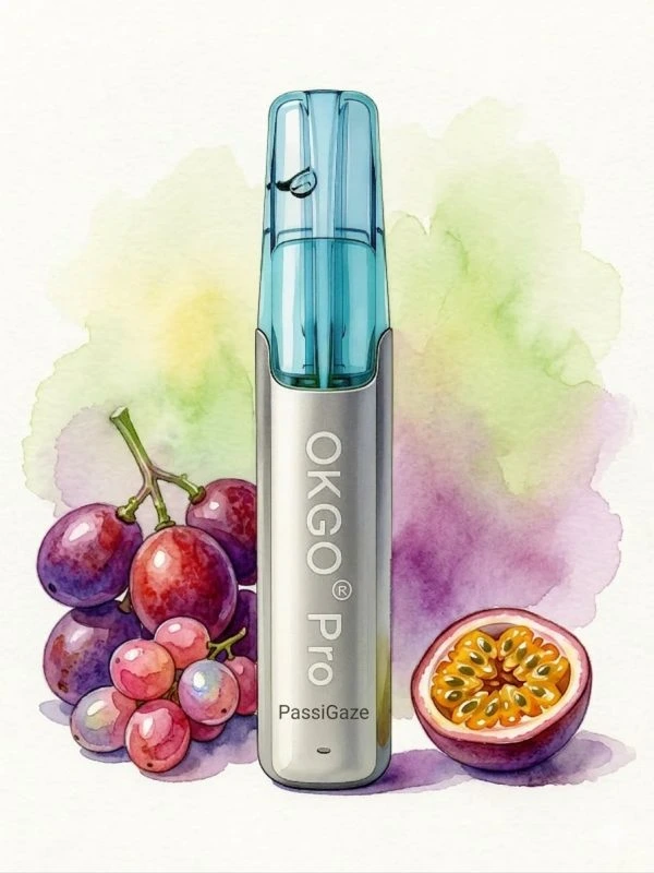 OKGO 6500 Puffs PassiGaze-10 Pack