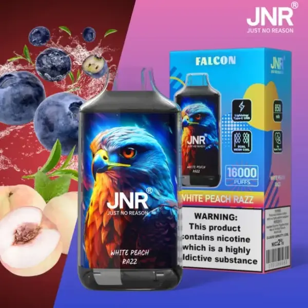 JNR Falcon 16000 Puffs 10 Packs (Ship from oversea)