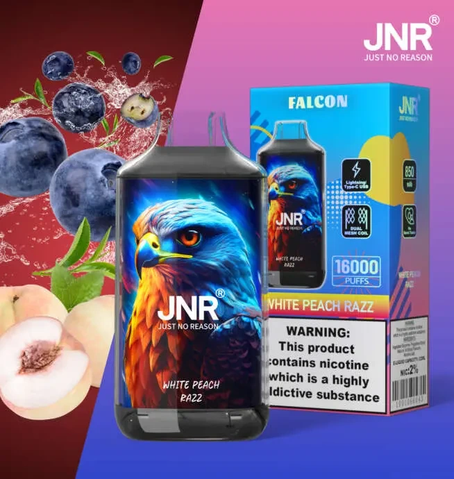 JNR Falcon 16000 Puffs 30 Packs (Ship from oversea) - Image 2