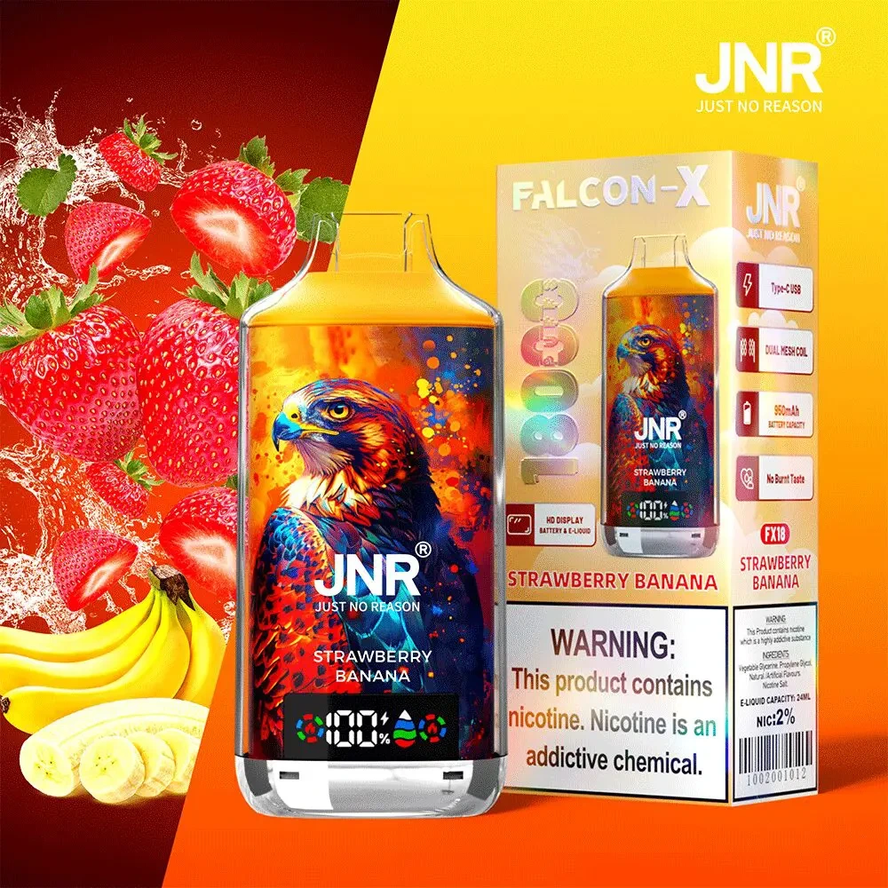 JNR Falcon-X 18000 Puffs 10 Pack (Ship from oversea) - Image 16